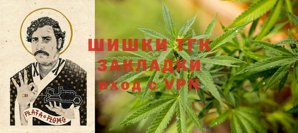 a pvp Гусев
