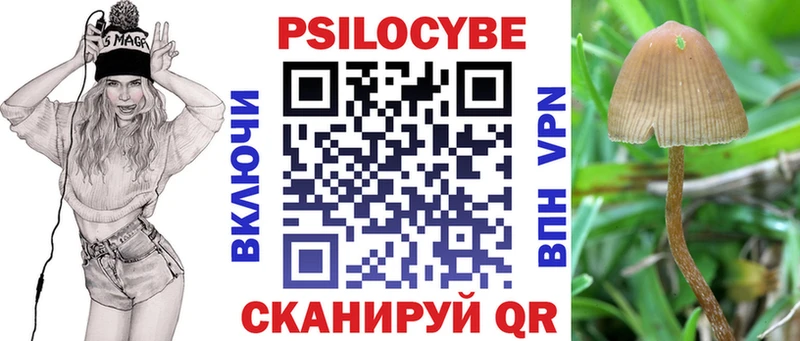 Купить  Нея  Псилоцибиновые грибы Magic Shrooms 